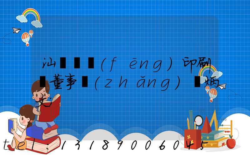 汕頭東風(fēng)印刷廠董事長(zhǎng)黃炳文